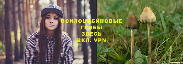 крисы Нея