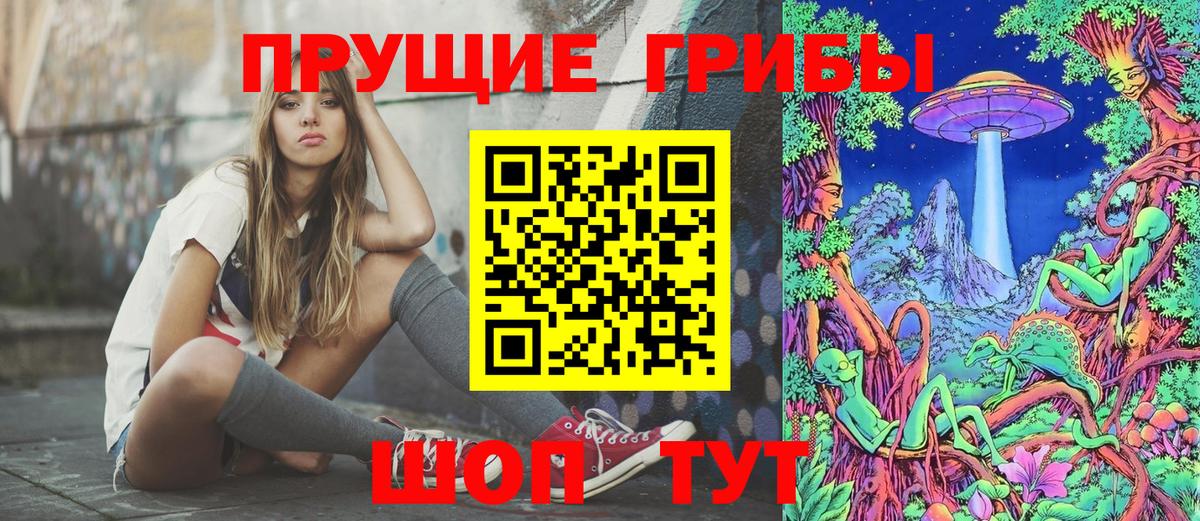 где купить наркотик  Псилоцибиновые грибы Psilocybine cubensis  Обнинск  Вход с VPN  Псилоцибиновые грибы Cubensis 