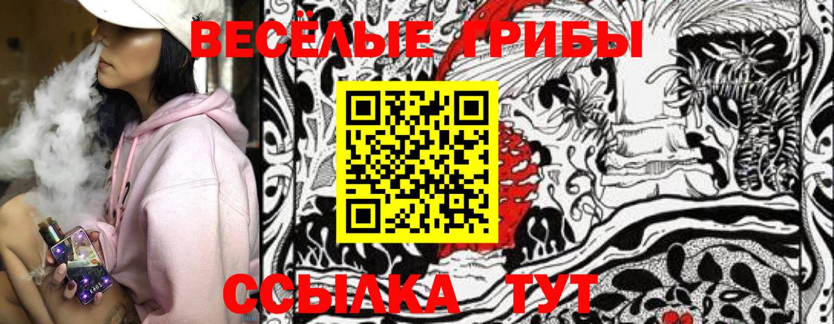 Псилоцибиновые грибы Cubensis Обнинск